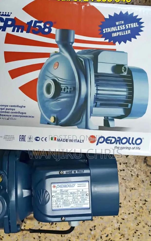 Pedrollo Water Pump 1HP - main view