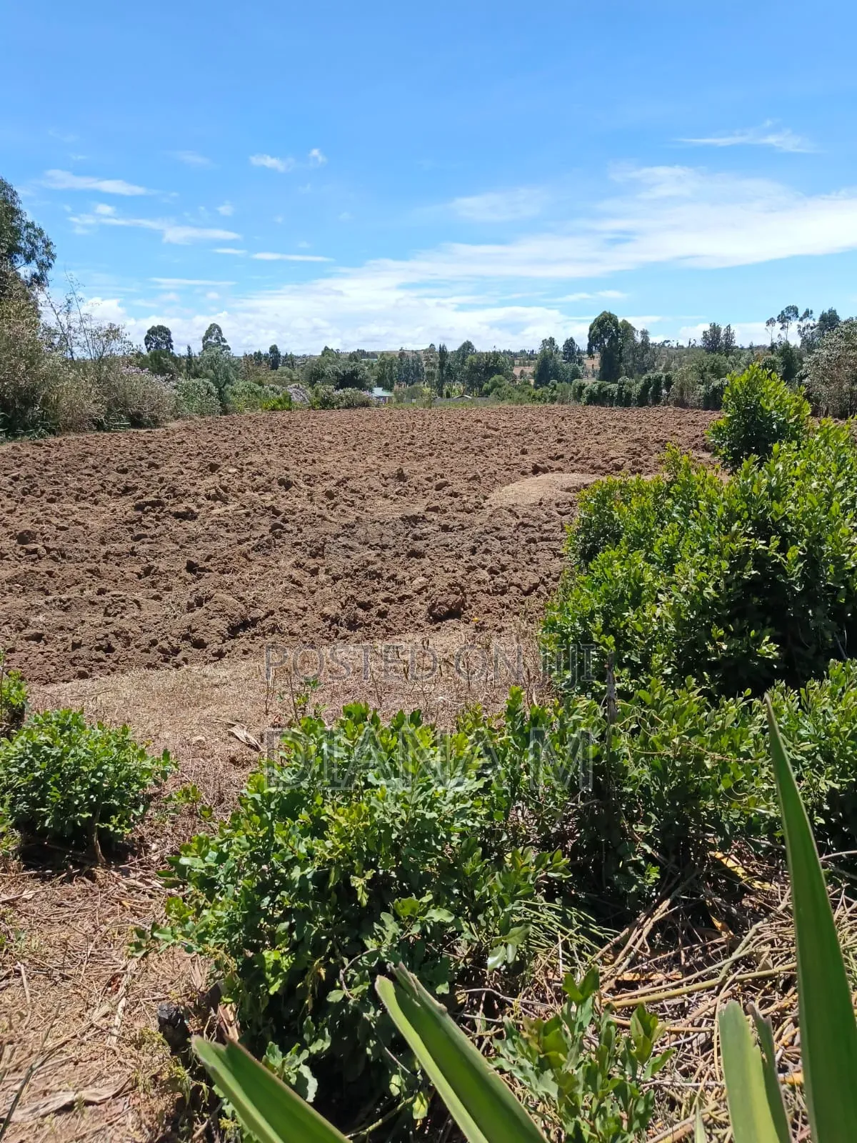2 Acre Land for Sale in Ndaragwa