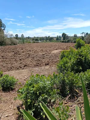 2 Acre Land for Sale in Ndaragwa