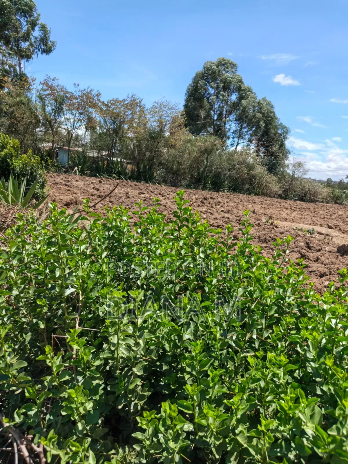 2 Acre Land for Sale in Ndaragwa