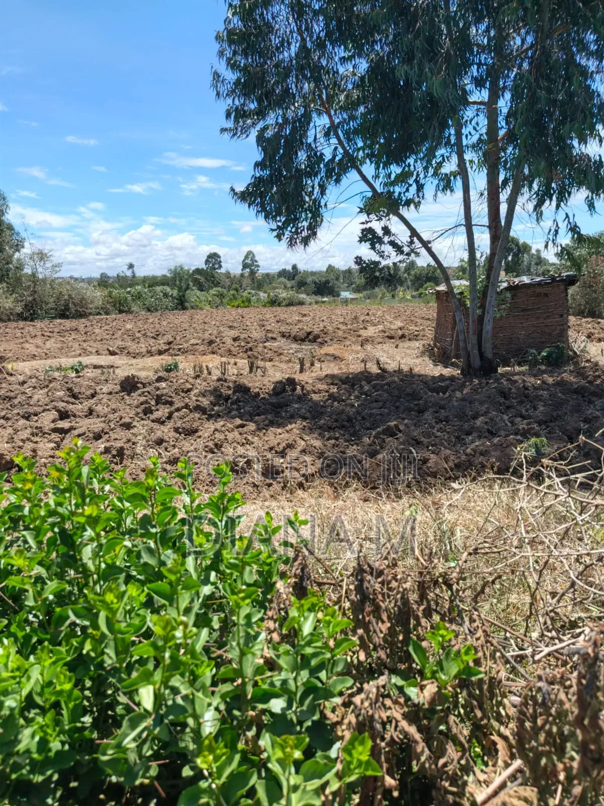 2 Acre Land for Sale in Ndaragwa