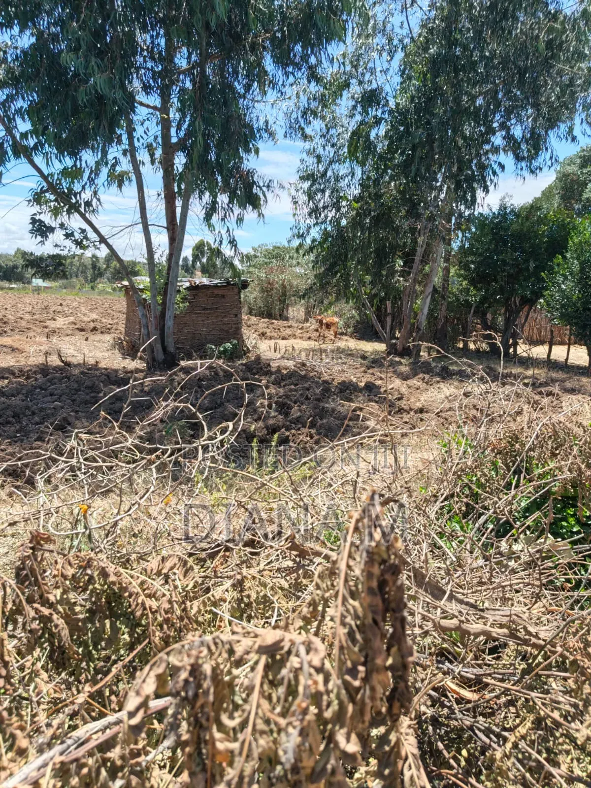 2 Acre Land for Sale in Ndaragwa