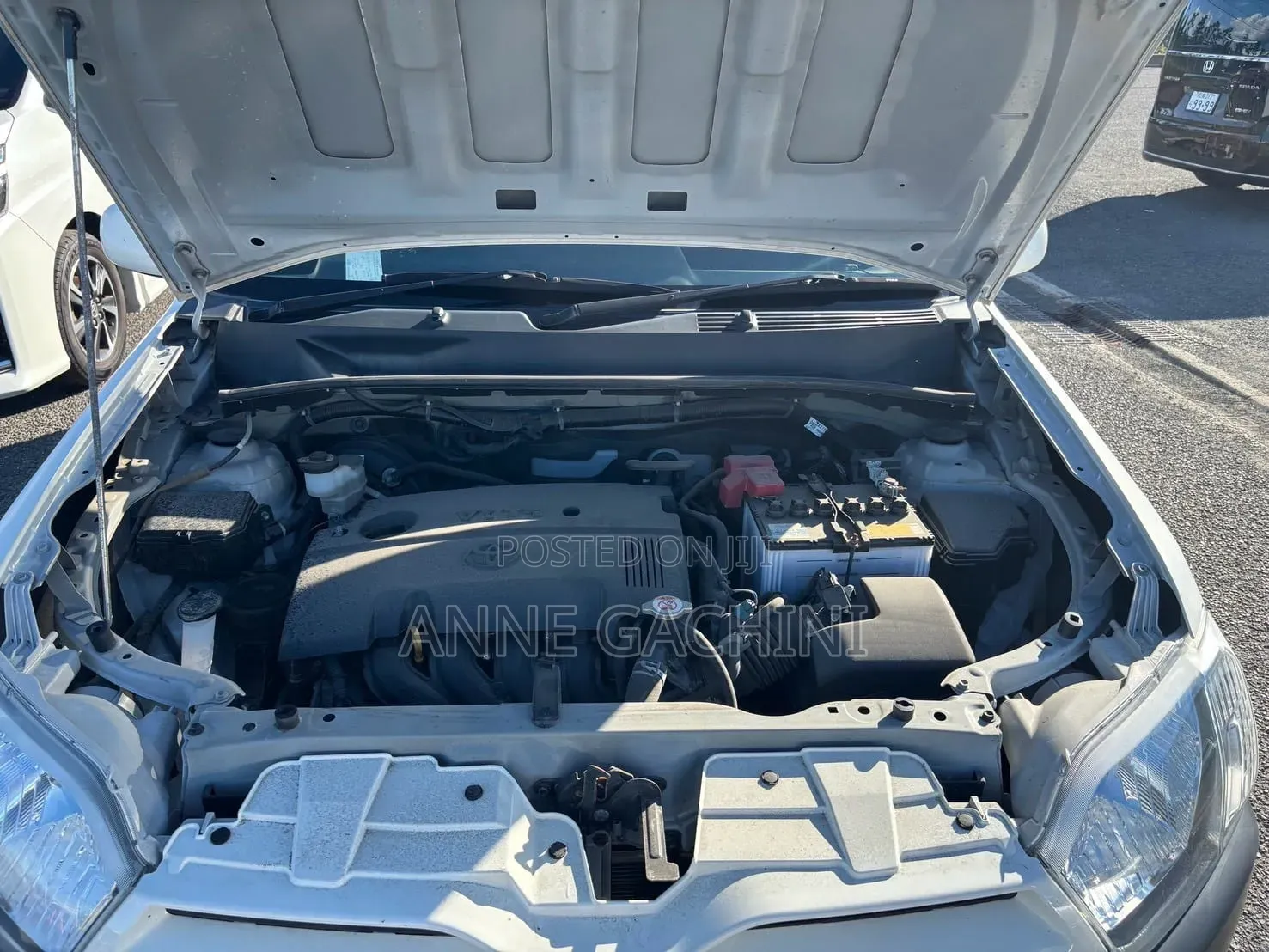 Toyota Succeed 2020 White