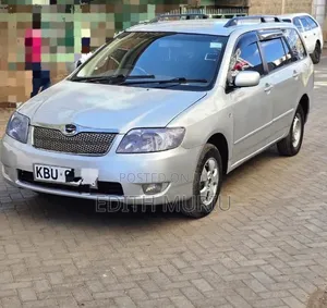 Toyota Corolla Fielder 2007 Silver