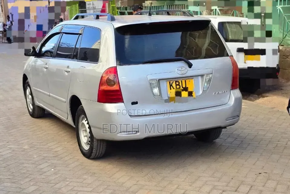 Toyota Corolla Fielder 2007 Silver