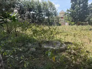 Prime Plot for Sale