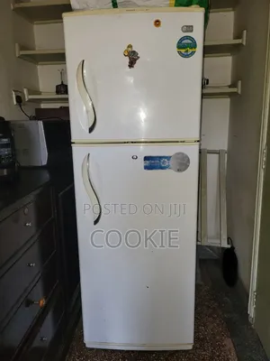Home Fridge