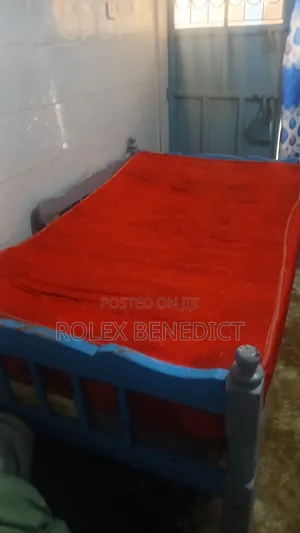 4×6 Bed and Mattress