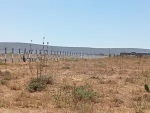 Plots for Sale Kinanie, Athi River