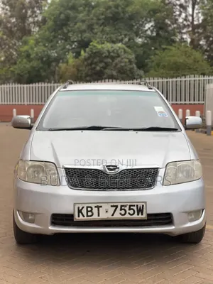 Toyota Corolla Fielder 2006 Silver