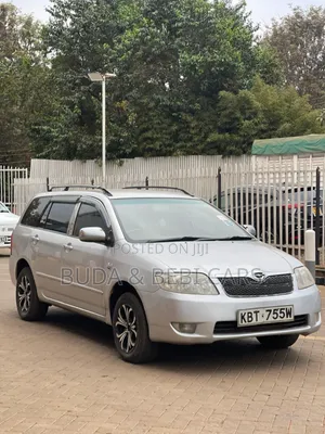 Toyota Corolla Fielder 2006 Silver