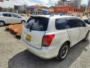 Toyota Corolla Fielder 2007 Silver
