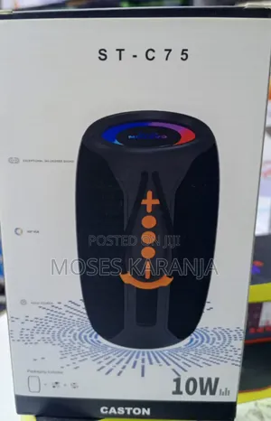 Caston Portable Bluetooth Speaker With Powerful Sound