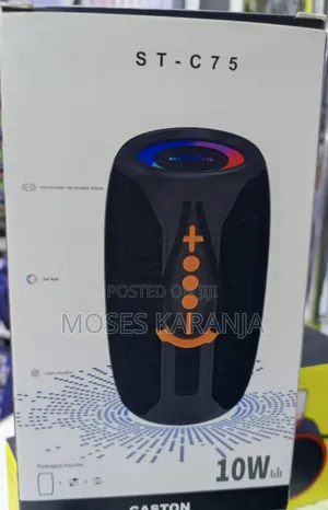 Caston Bluetooth Wireless Speaker Portable Sound System