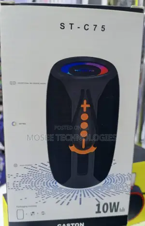Caston Bluetooth Wireless Speaker Portable Sound System