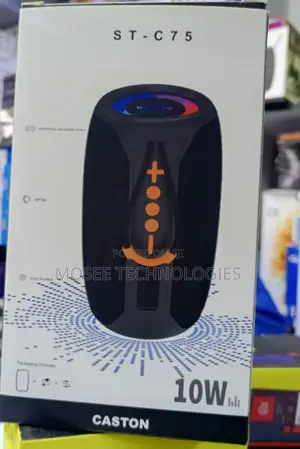 Caston Portable Wireless Speaker High Quality Audio System