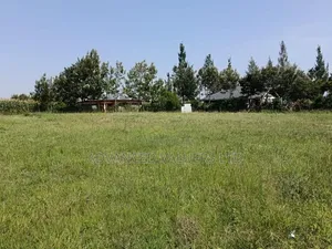 The Amani Meadows - Kabarak