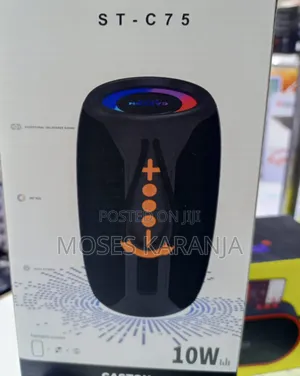Caston Wireless Bluetooth Speaker for Music & Entertainment
