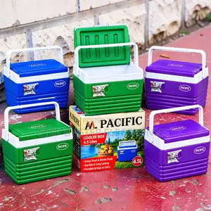4.5L Portable Cooler Box for Picnics Travel and Camping