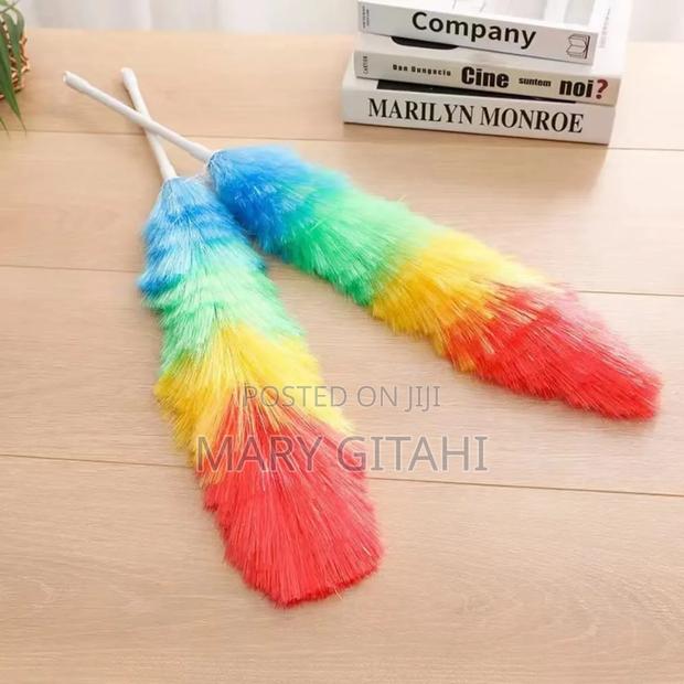 *Rainbow Duster/Whisker*