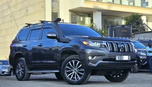Toyota Land Cruiser Prado 2.8 2023 Gray