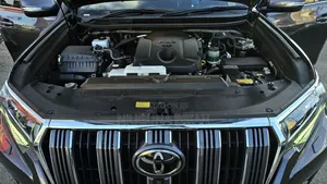 Toyota Land Cruiser Prado 2.8 2023 Gray