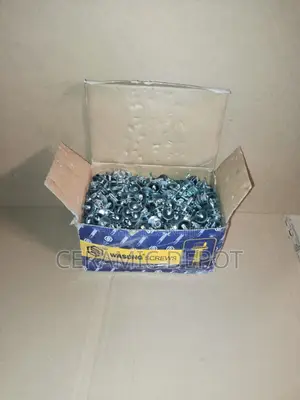 SELF DRILLING SCREW 5.5X20 500 PCS a Pack-Roof Self Drilling Screws