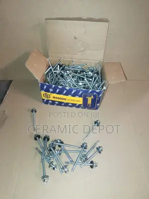 SELF DRILLING SCREW 5.5X65 200pcs Per Pack-Roof Self Drilling Screws