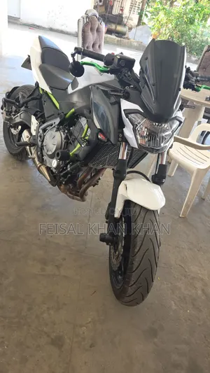 Kawasaki Ninja 650 2016 White