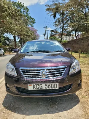 Toyota Premio 2009 Maroon