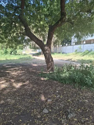 Land for Sale 1.25 Acre in Langata Road