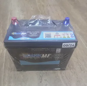 Maintenance Free Car Battery 045