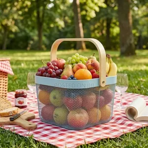 Meshed Modern Storage Basket Rectangular (25*25*20*CM)