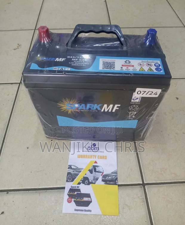 Maintenance Free Car Battery 045 - thumbnail 2