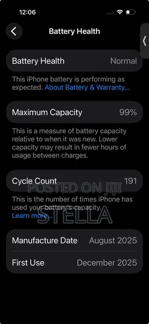 Apple iPhone 17 256 GB Blue