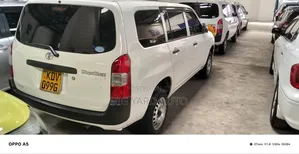 Toyota Probox 1.5 DX 4WD 2019 White