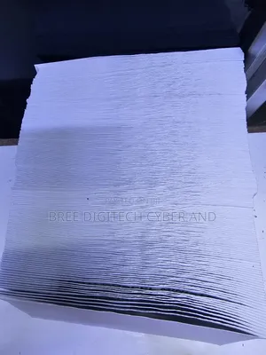 Dl Envelope Printing