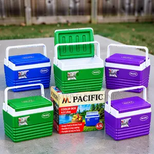 4.5L Portable Cooler Box With Strong Carry Handle