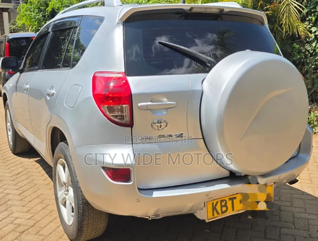 Toyota RAV4 2009 Silver