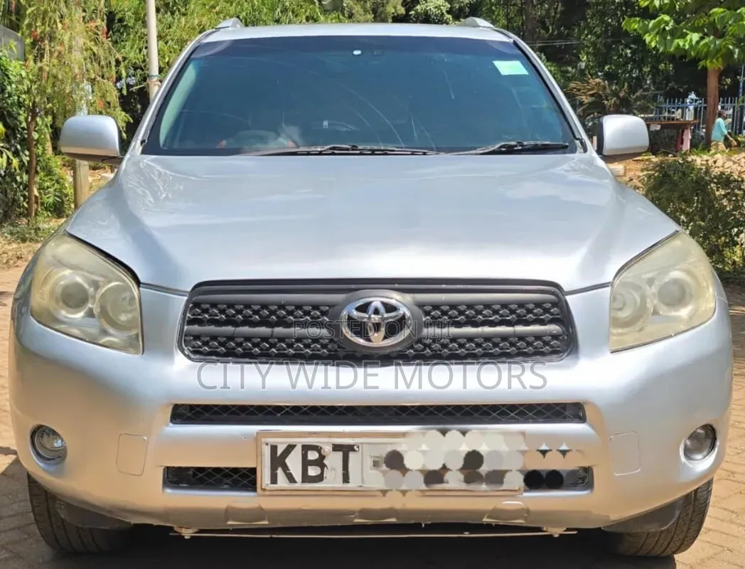 Toyota RAV4 2009 Silver