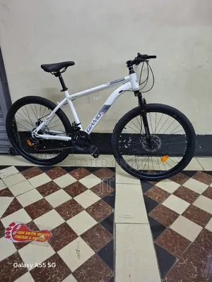 Size 26 Front Suspension 
Multi Speed Gear System
Disc Bike