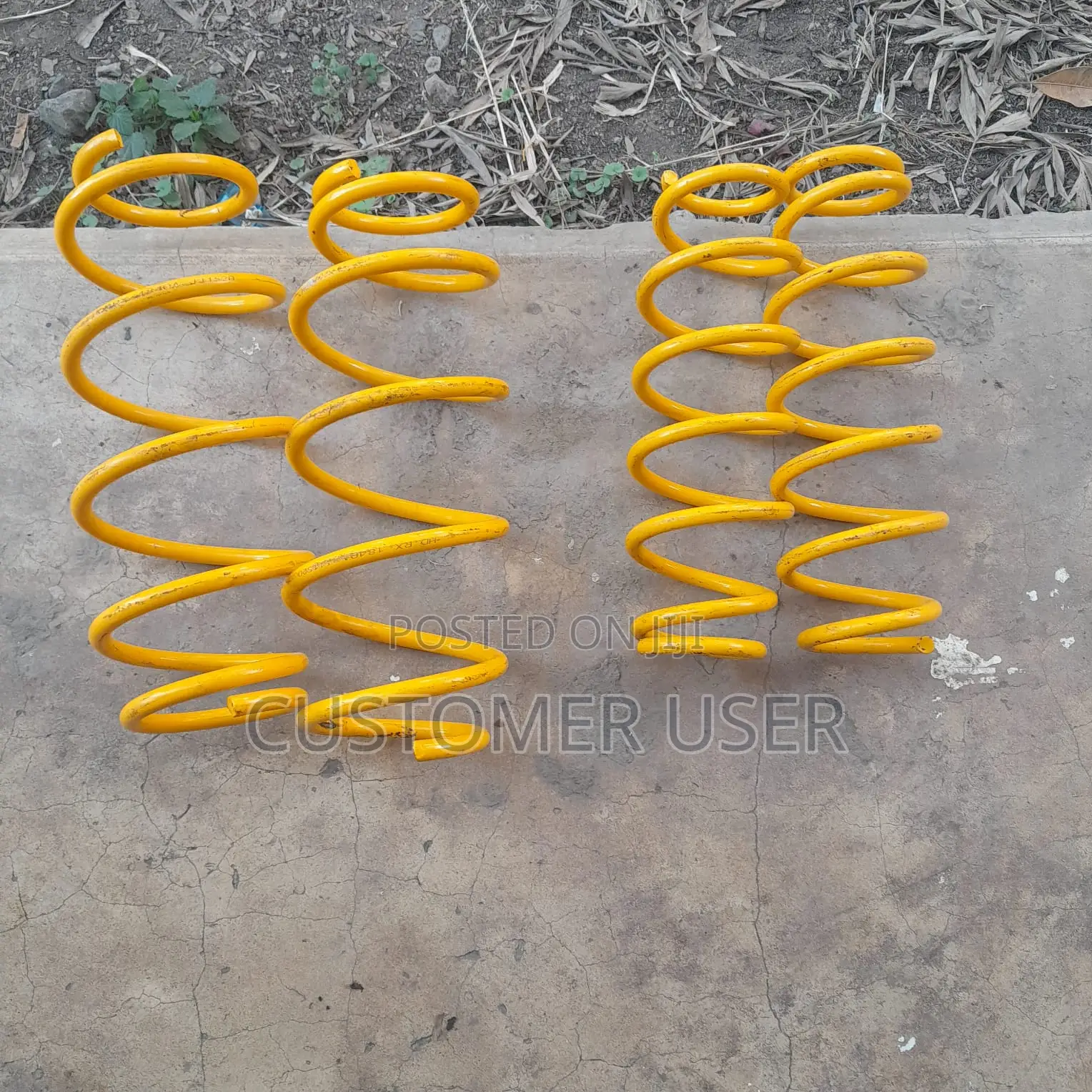 Spring Coils