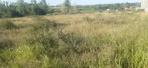 Kinanie Plot, Athi River