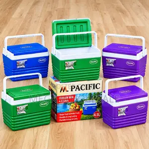 4.5L Cooler Box for Picnics Camping Travel and Outdoor Use