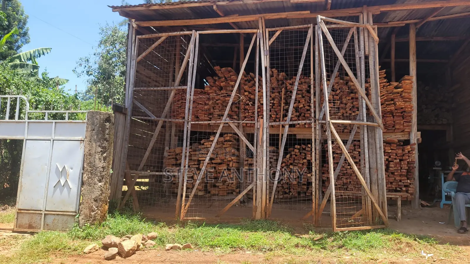 Blue Gum Sawmill Timber