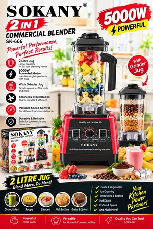 2 in 1 Sokany Commercial Blender SK-66