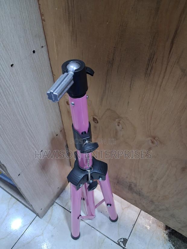 Heavy Pink Dummy Stand - main view
