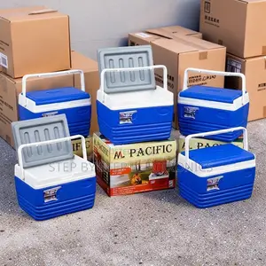 4.5L Portable Cooler Box for Beach Trips Camping and Picnics