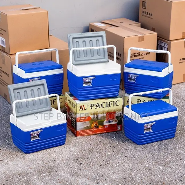4.5L Portable Cooler Box for Beach Trips Camping and Picnics