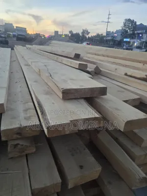 Pine Timber Freshi Tmbao